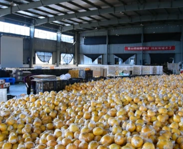 順豐快遞給手動(dòng)液壓搬運(yùn)車消毒，保障生鮮瓜果食品安全
